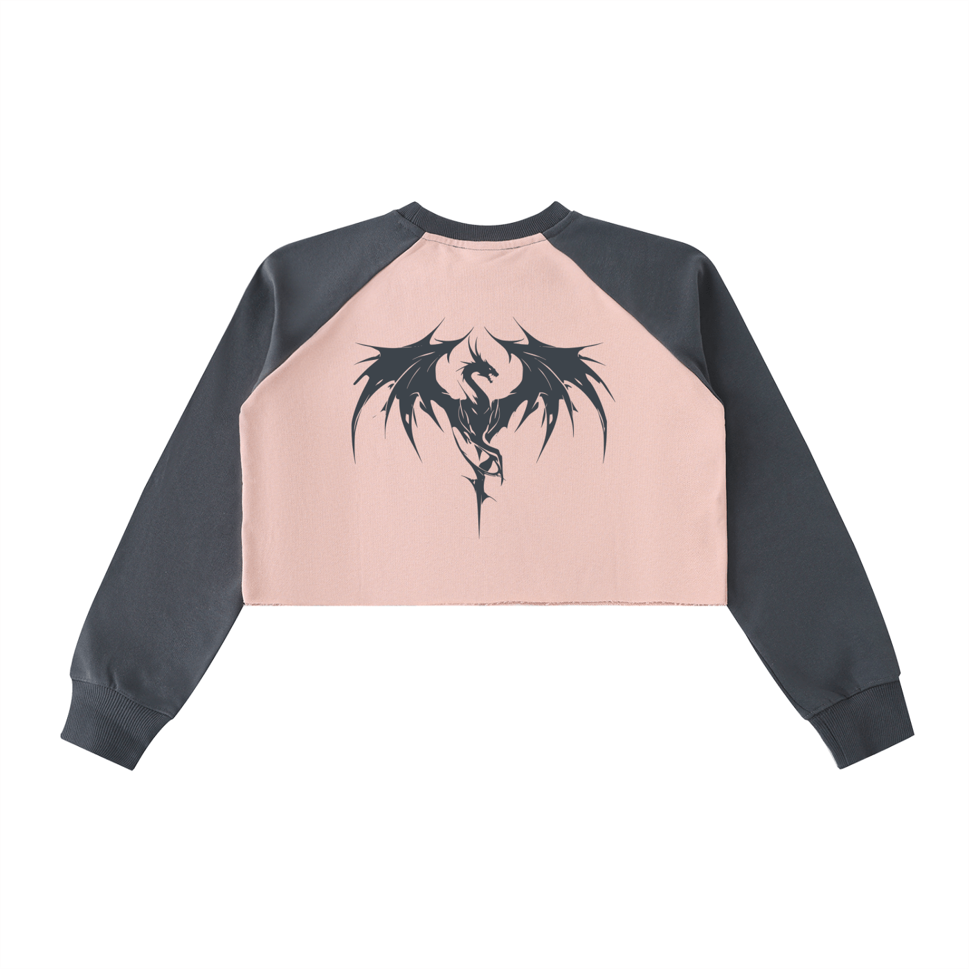 DF Vaelthar Pink with Dark Gray Raw - Hem Color - Block Crop SweatshirtRaw - Hem Crop SweatshirtDF Vaelthar Pink with Dark Gray Raw - Hem Color - Block Crop Sweatshirt250901PODBE0024001