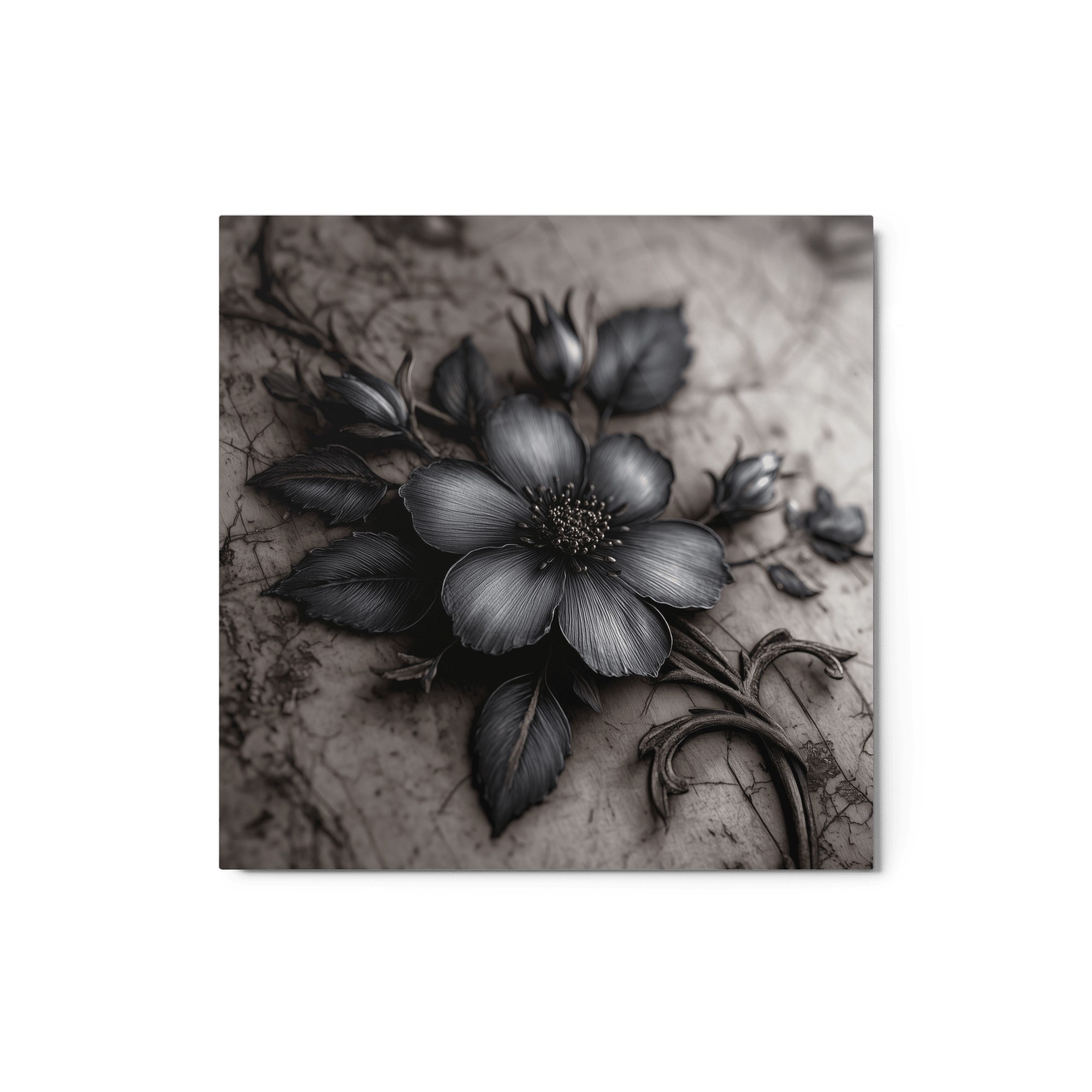 Nocturne Botanica 12 by 12 Metal PrintMetal PrintNocturne Botanica 12 by 12 Metal Print8049081_15135