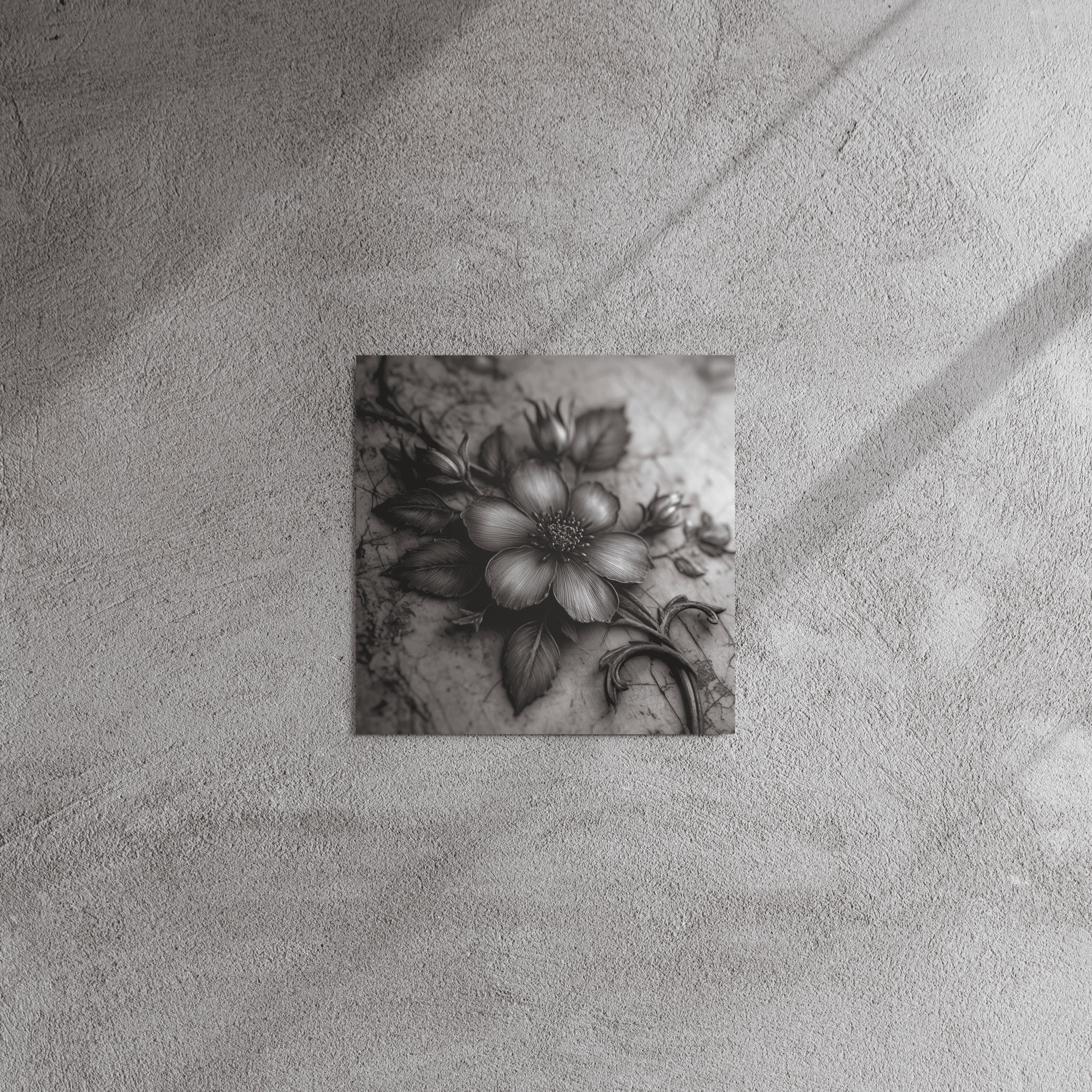 Nocturne Botanica 12 by 12 Metal PrintMetal PrintNocturne Botanica 12 by 12 Metal Print8049081_15135