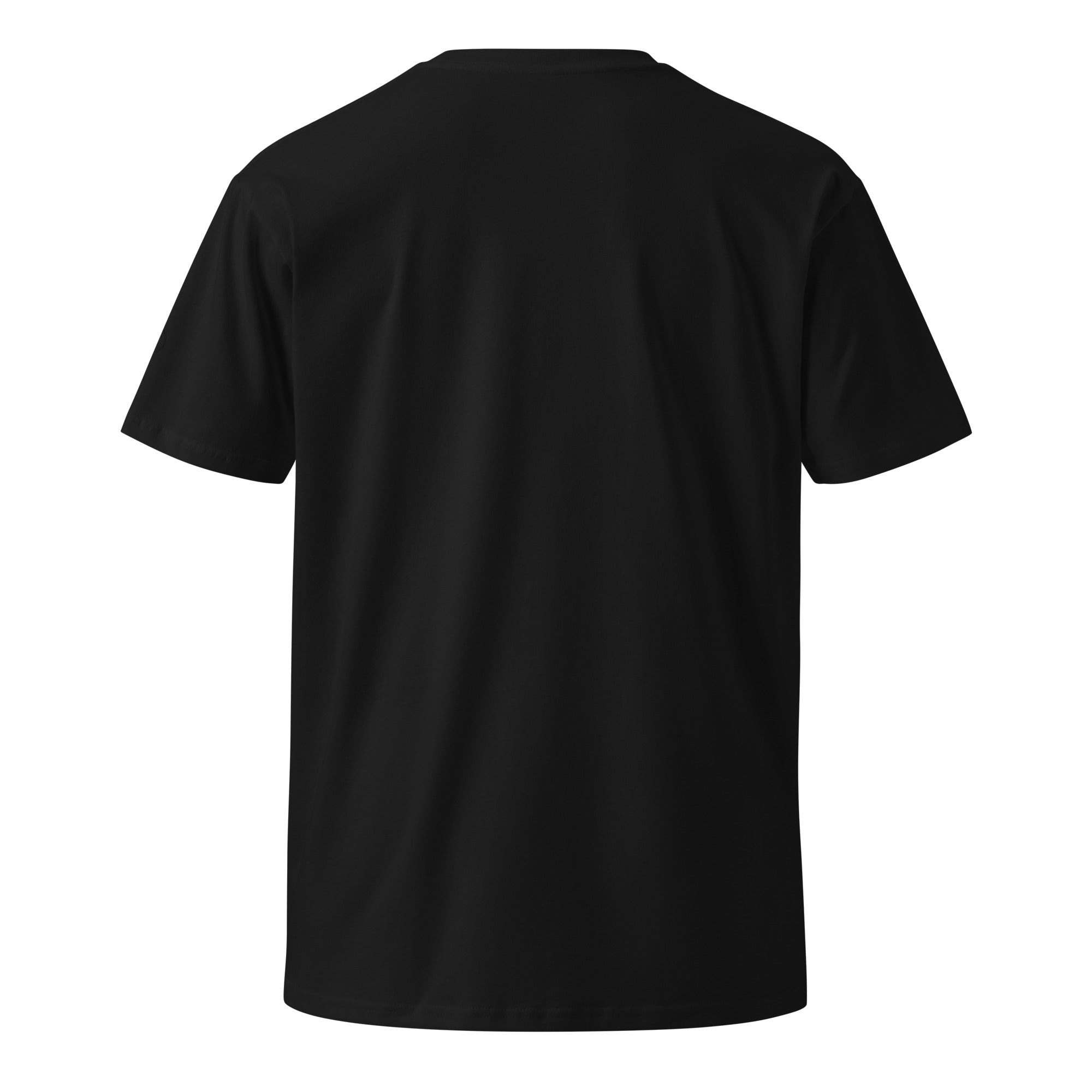 DF Embroidered Unisex Premium T-shirtUnisex Premium T-shirtProduct mockup5553090_18772