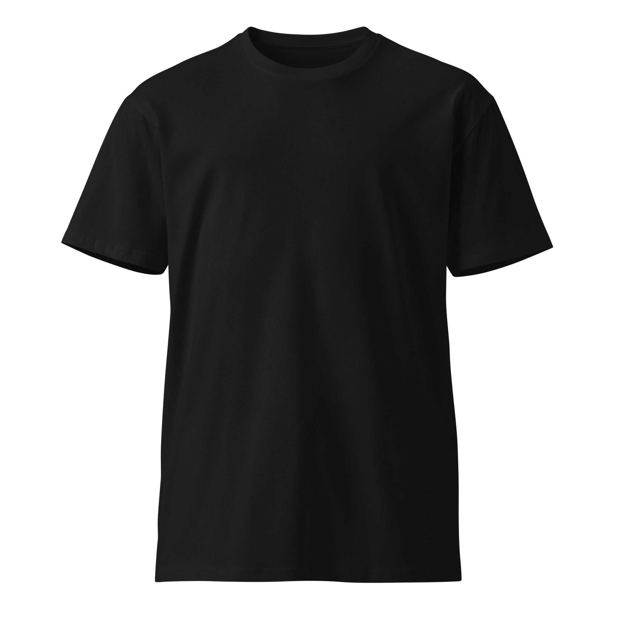 DF Embroidered Unisex Premium T-shirtUnisex Premium T-shirtProduct mockup5553090_18772