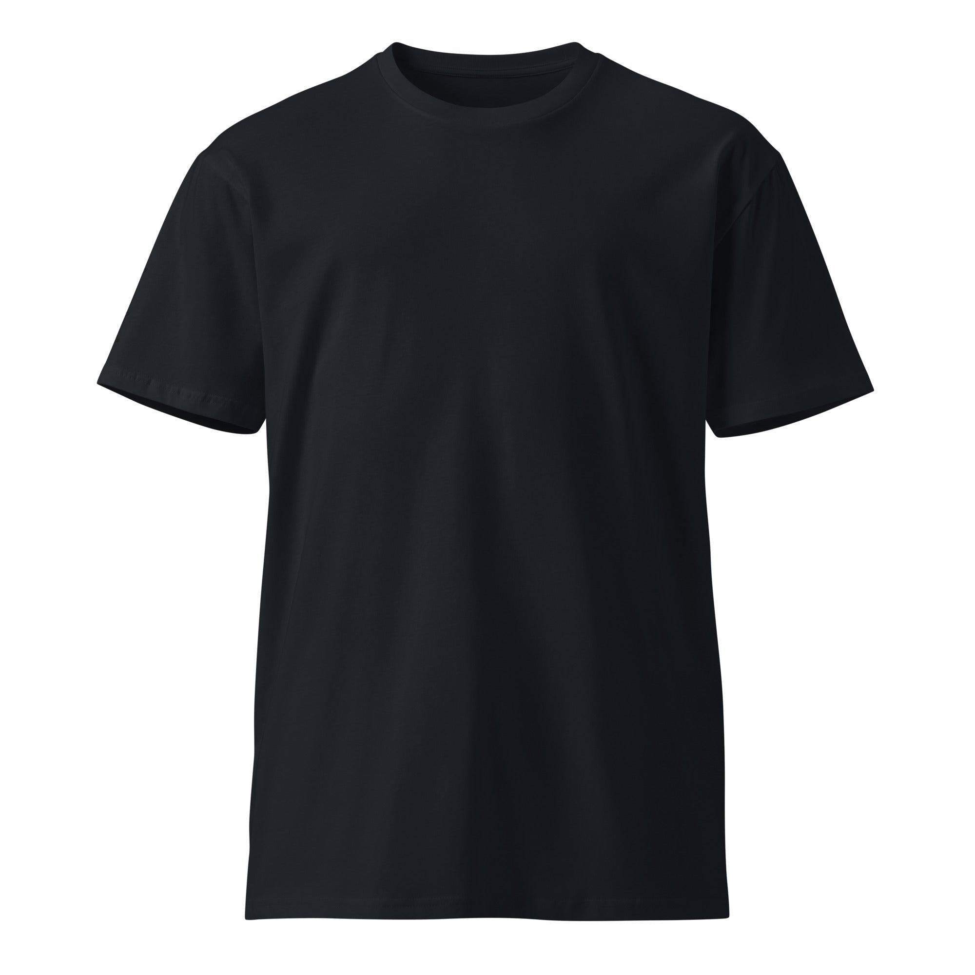 DF Embroidered Unisex Premium T-shirtUnisex Premium T-shirtProduct mockup5553090_18779