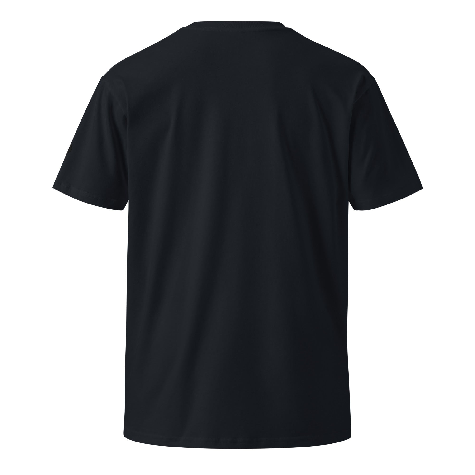 DF Embroidered Unisex Premium T-shirtUnisex Premium T-shirtProduct mockup5553090_18779