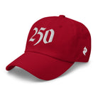 Happy 250 USA Dad HatDad HatProduct mockup1908438_12735